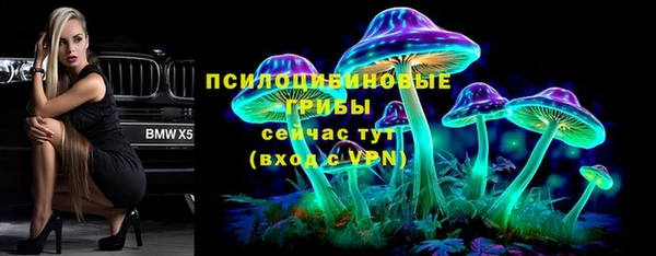 прущие крисы Алексеевка