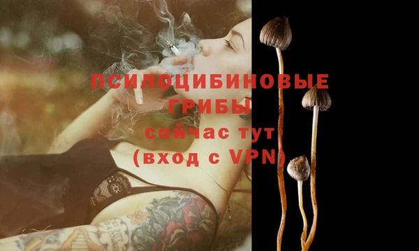 прущие крисы Алексеевка