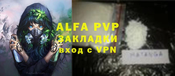 стафф Алзамай