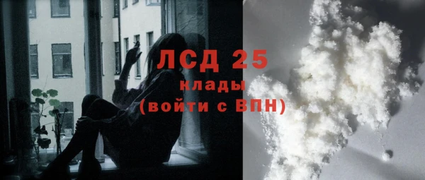 стафф Алзамай