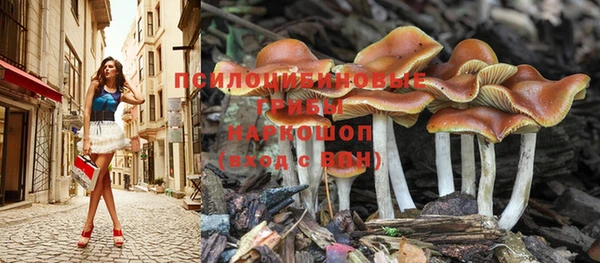 стафф Алзамай