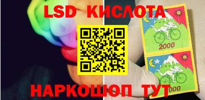 PSILOCYBIN Аргун