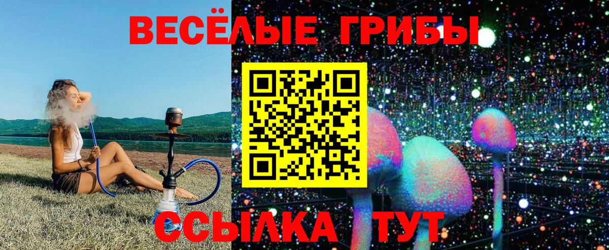 Псилоцибиновые грибы Magic Shrooms  Вход с VPN  Балашиха  наркота  Галлюциногенные грибы мухоморы 