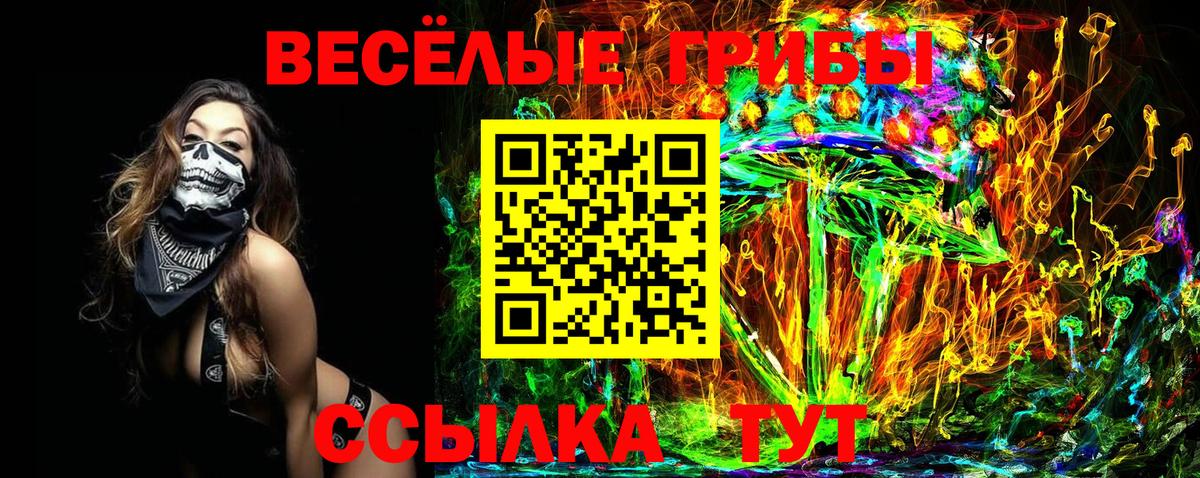 Псилоцибиновые грибы Cubensis Балашиха